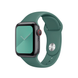 Ремінець Coteetci W3 зелений для Apple Watch 42/44 мм