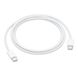 Оригінальний кабель Apple USB-C Charge Cable 1m (MUF72) для MacBook | iMac