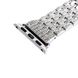 Ремінець COTEetCI W4 Magnificent сріблястий для Apple Watch 42/44 мм