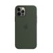 Силиконовый чехол iLoungeMax Silicone Case MagSafe Cyprus Green для iPhone 12 Pro Max OEM