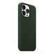 Кожаный чехол Apple Leather Case with MagSafe Sequoia Green (MM1G3) для iPhone 13 Pro