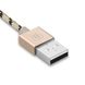 Магнітний кабель Baseus Insnap Gold USB 1m