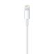 Кабель Apple Lightning to USB 0.5m (ME291)