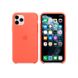 Купити Силіконовий чохол Apple Silicone Case Clementine (Orange) (MWYQ2) для iPhone Pro 11 за найкращою ціною в Україні 🔔, наш інтернет - магазин гарантує якість і швидку доставку вашого замовлення 🚀