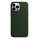 Кожаный чехол Apple Leather Case with MagSafe Sequoia Green (MM1Q3) для iPhone 13 Pro Max