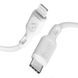 Кабель Spigen Essential USB-C to Lightning Cable 1m