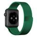 Ремешок Coteetci W6 зелёный для Apple Watch 38/40 мм