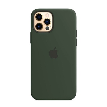 Купить Силиконовый чехол Apple Silicone Case MagSafe Cyprus Green (MHL33) для iPhone 12 | 12 Pro по лучшей цене в Украине 🔔 ,  наш интернет - магазин гарантирует качество и быструю доставку вашего заказа 🚀