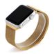 Ремінець для Apple Watch 38мм - Coteetci W6 золотистий