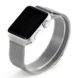 Ремешок для Apple Watch 38мм - Coteetci W6 серебристый