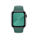 Ремешок Coteetci W3 зелёный для Apple Watch 42/44 мм