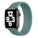 Силиконовый ремешок COTEetCI W58 зелёный для Apple Watch 38/40mm (150)
